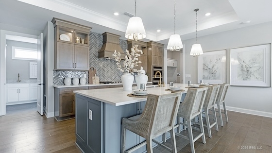 New Homes for Active Adults in Cumming, Georgia built by Epcon Communities in the Active Adult 55+ New Home Community of Franklin Goldmine!