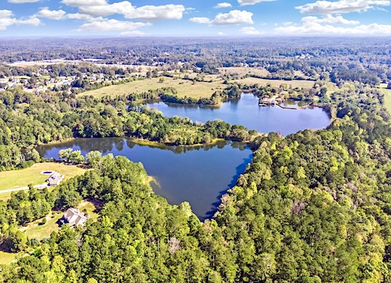 New Homes in Hiram for Active Adults built by Fischer Homes in the Active Adult 55+ New Home Community of  Savannah Lakes!