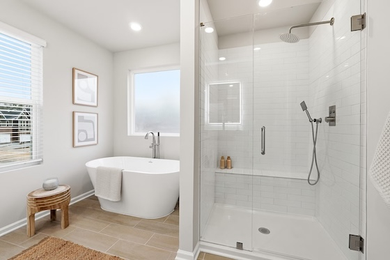 New Townhomes in Sterling at Parker!