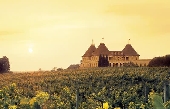 New Active Adult Homes in Hoschton at Del Webb Chateau Elan